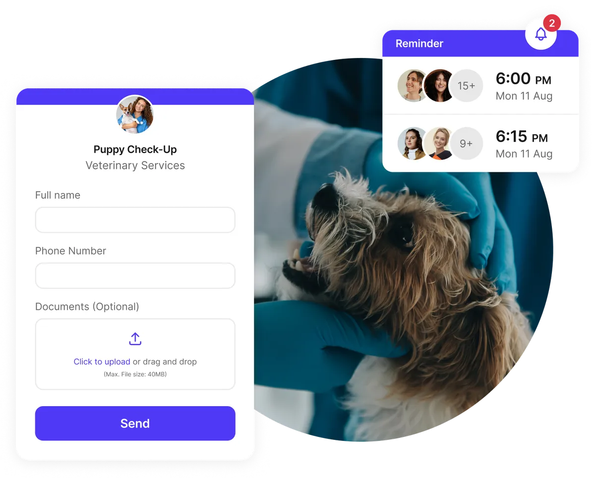 Automatisation de formulaire d'admission vétérinaire