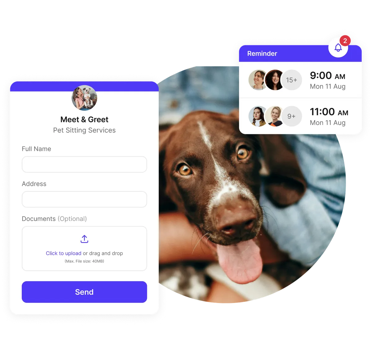 pet sitting intake forms