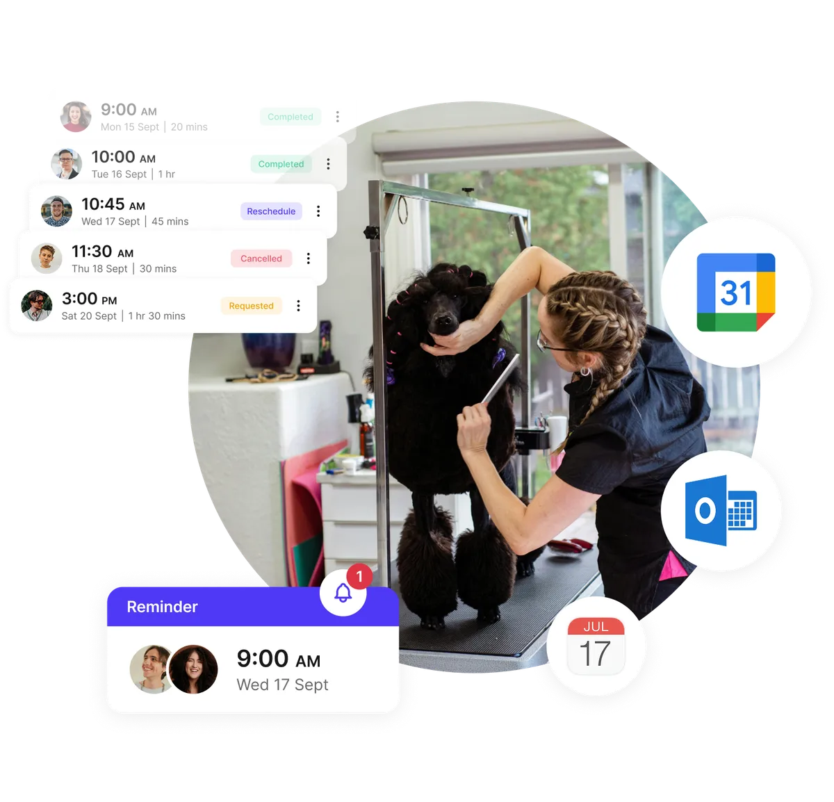 Fonctionnalité rappel application planification toilettage chien