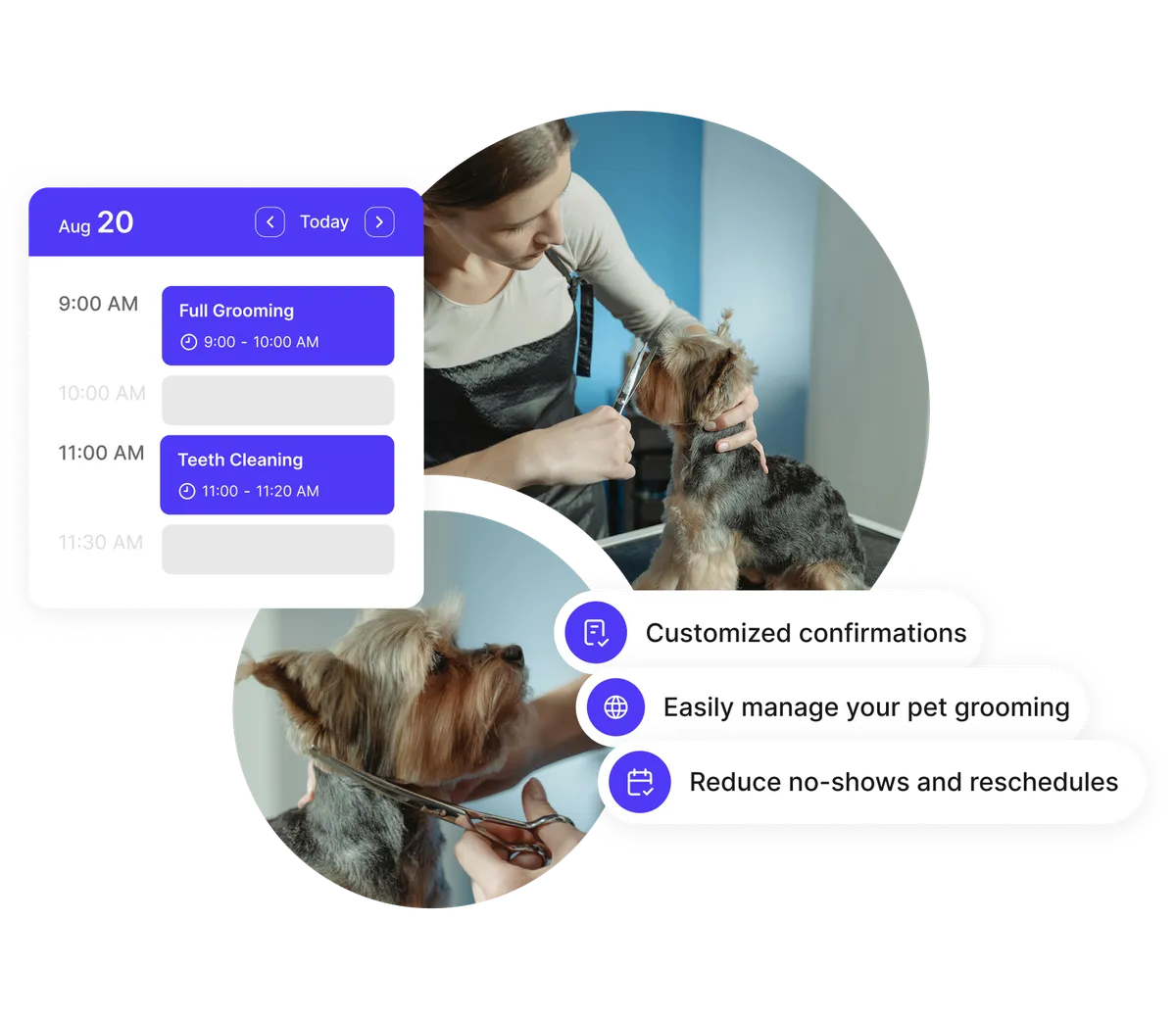 Calendrier planification toilettage animalier pour équipes