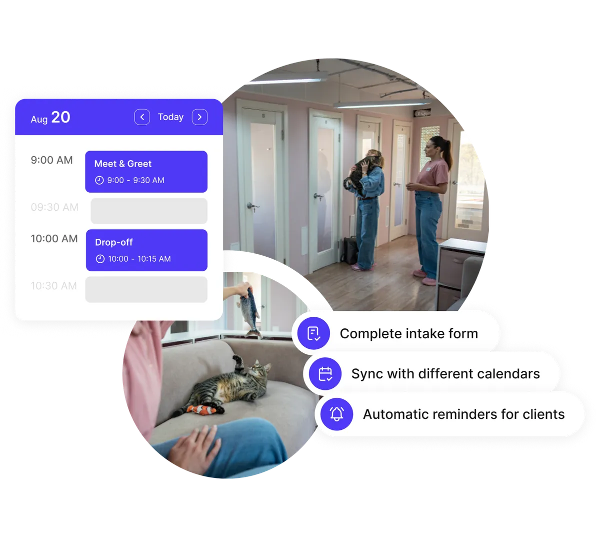 Planning de gestion de garderie pour chiens